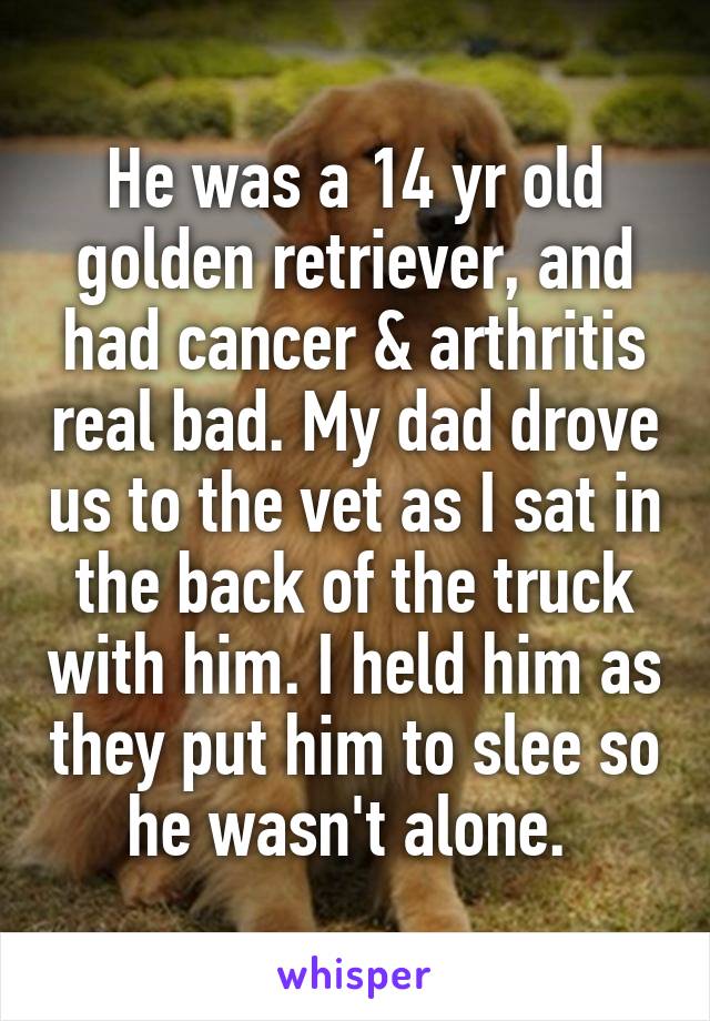 He was a 14 yr old golden retriever, and had cancer & arthritis real bad. My dad drove us to the vet as I sat in the back of the truck with him. I held him as they put him to slee so he wasn't alone. 
