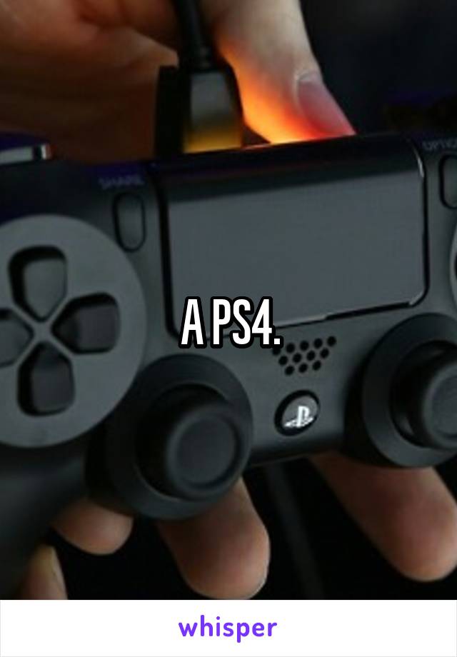 A PS4.