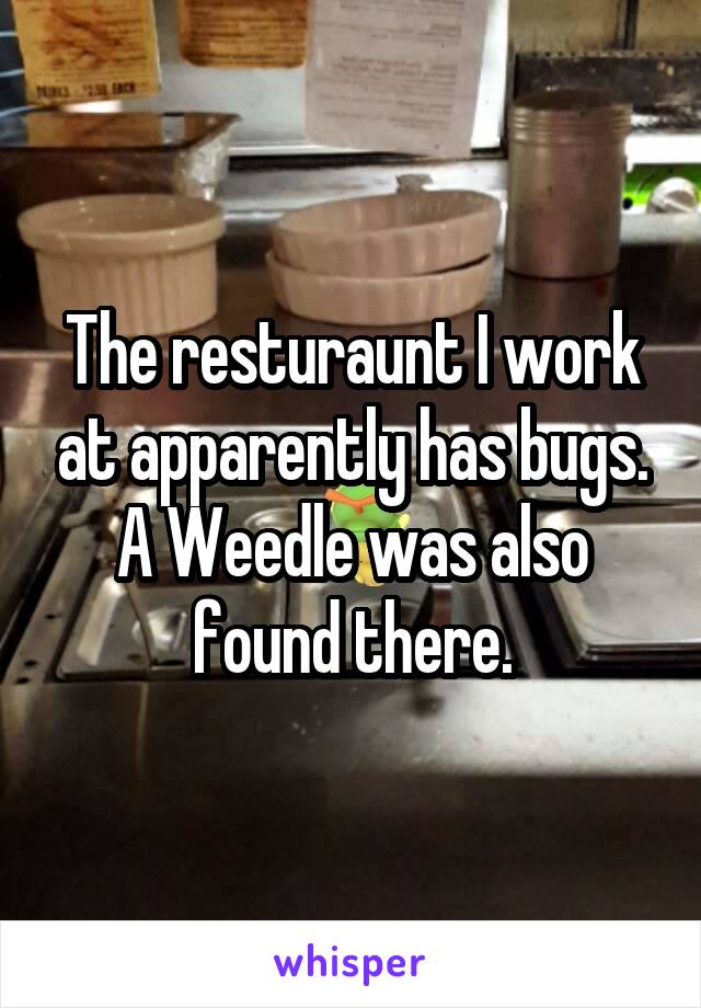 The resturaunt I work at apparently has bugs. A Weedle was also found there.