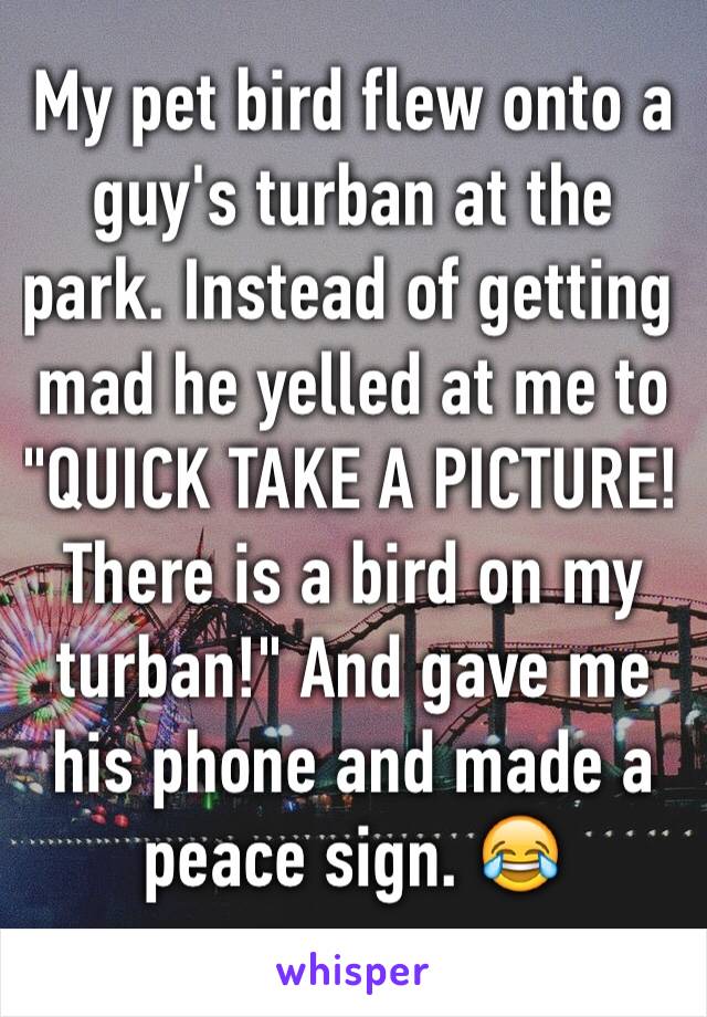 My pet bird flew onto a guy's turban at the park. Instead of getting mad he yelled at me to "QUICK TAKE A PICTURE! There is a bird on my turban!" And gave me his phone and made a peace sign. 😂