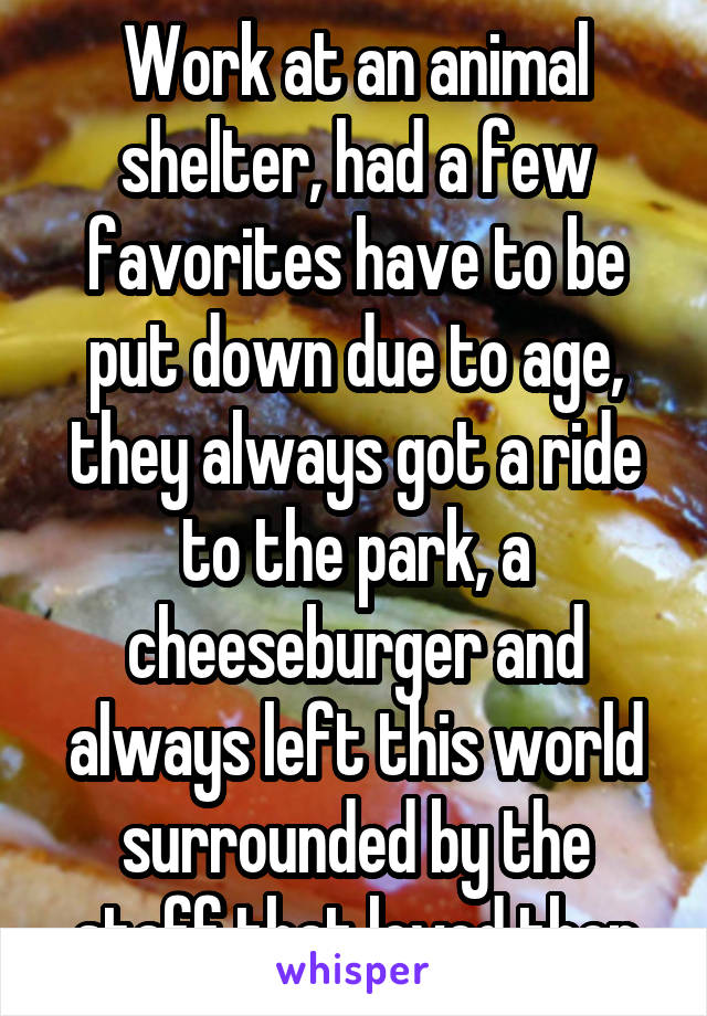 Work at an animal shelter, had a few favorites have to be put down due to age, they always got a ride to the park, a cheeseburger and always left this world surrounded by the staff that loved then