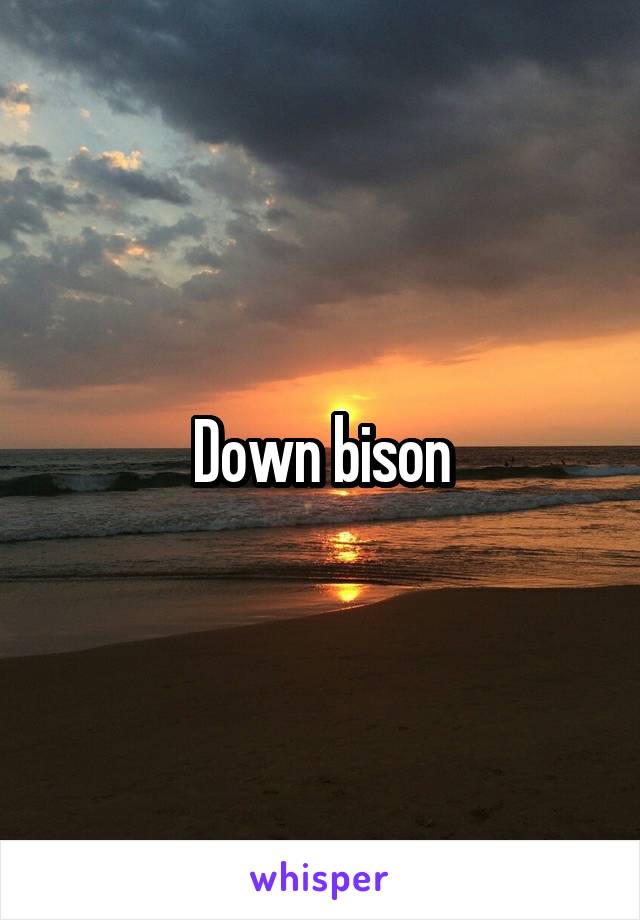 Down bison