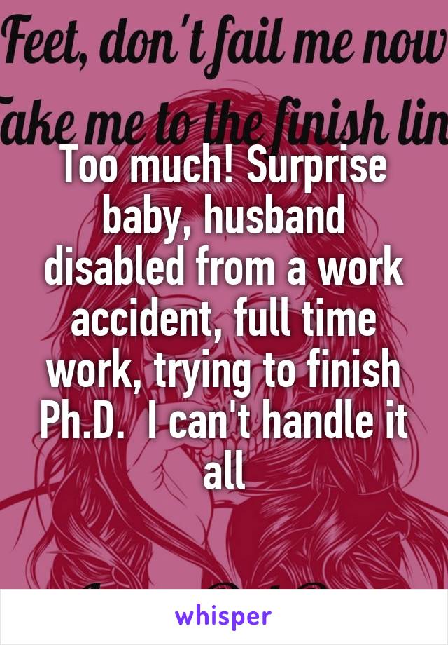 Too much! Surprise baby, husband disabled from a work accident, full time work, trying to finish Ph.D.  I can't handle it all
