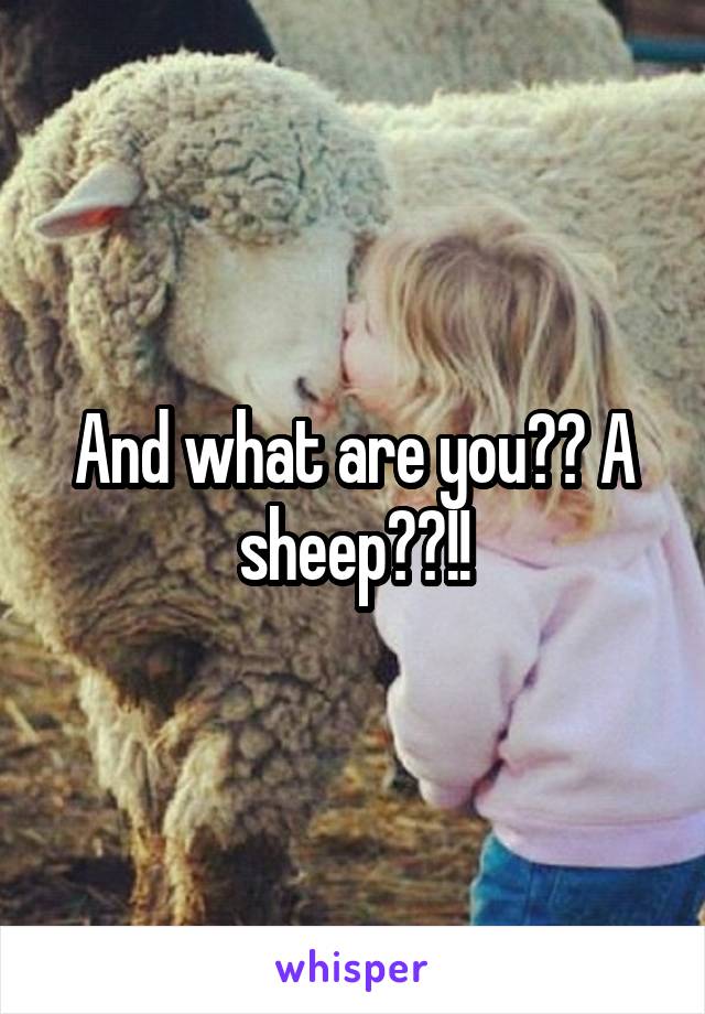 And what are you?? A sheep??!!