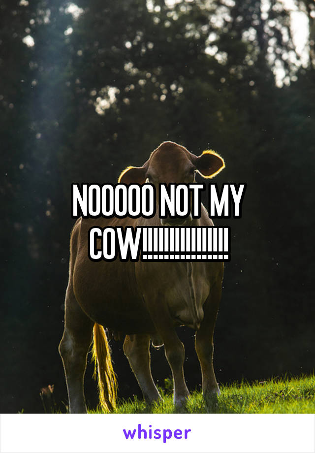 NOOOOO NOT MY COW!!!!!!!!!!!!!!!!