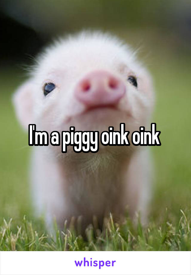 I'm a piggy oink oink 
