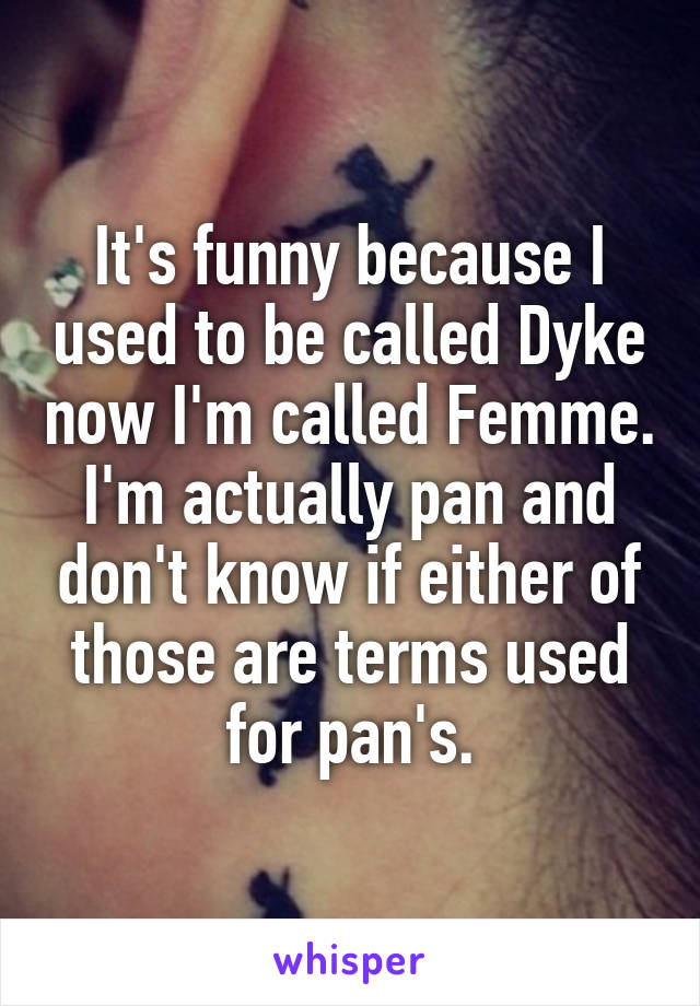 It's funny because I used to be called Dyke now I'm called Femme. I'm actually pan and don't know if either of those are terms used for pan's.