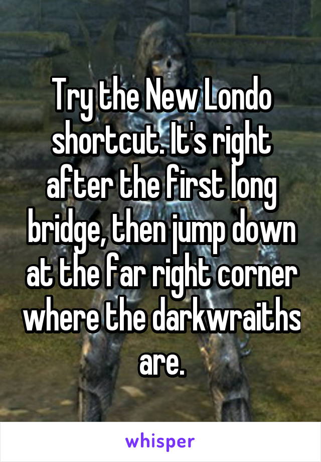 Try the New Londo shortcut. It's right after the first long bridge, then jump down at the far right corner where the darkwraiths are.