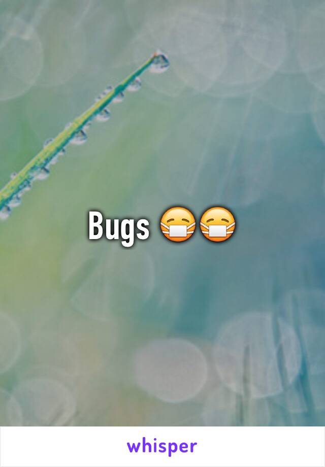 Bugs 😷😷
