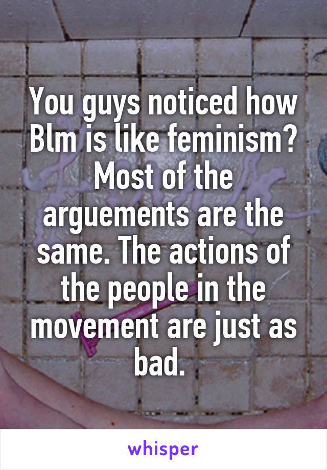 You guys noticed how Blm is like feminism? Most of the arguements are the same. The actions of the people in the movement are just as bad. 