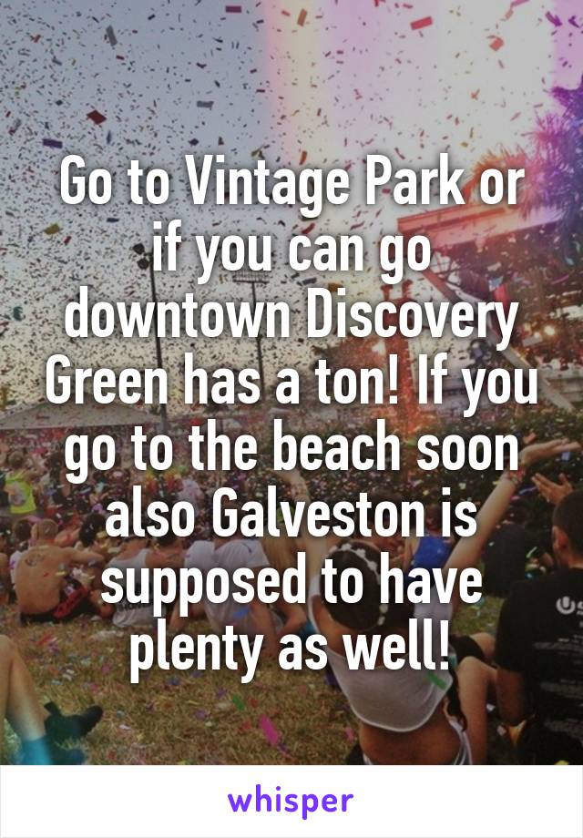 Go to Vintage Park or if you can go downtown Discovery Green has a ton! If you go to the beach soon also Galveston is supposed to have plenty as well!