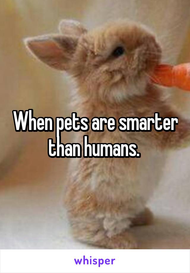 When pets are smarter than humans. 