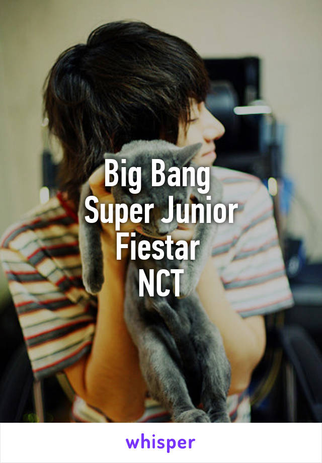 Big Bang 
Super Junior
Fiestar 
NCT