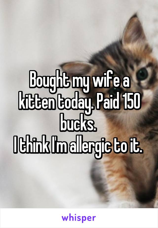 Bought my wife a kitten today. Paid 150 bucks. 
I think I'm allergic to it. 