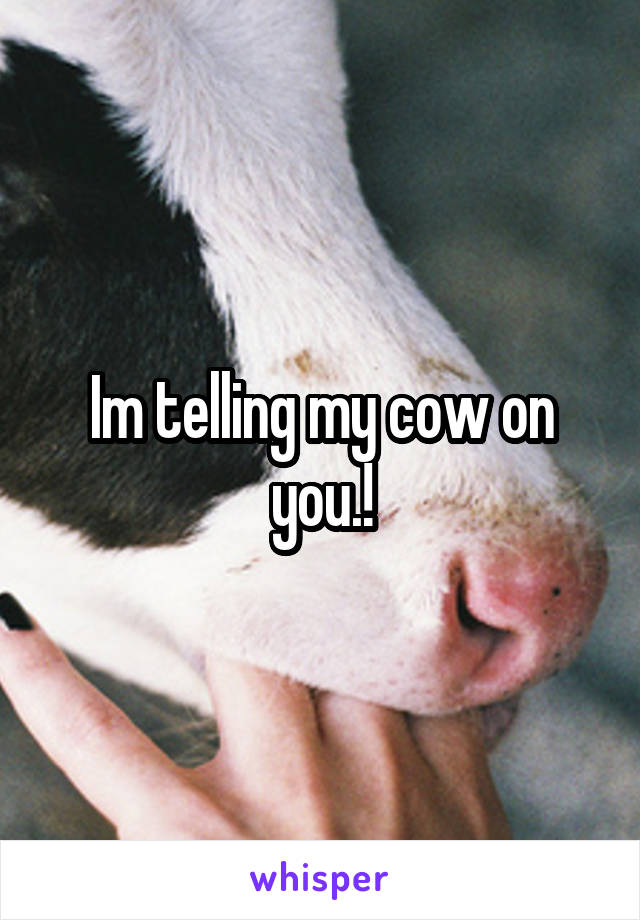 Im telling my cow on you.!