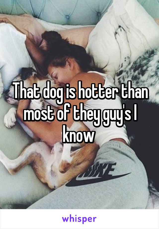 That dog is hotter than most of they guy's I know 