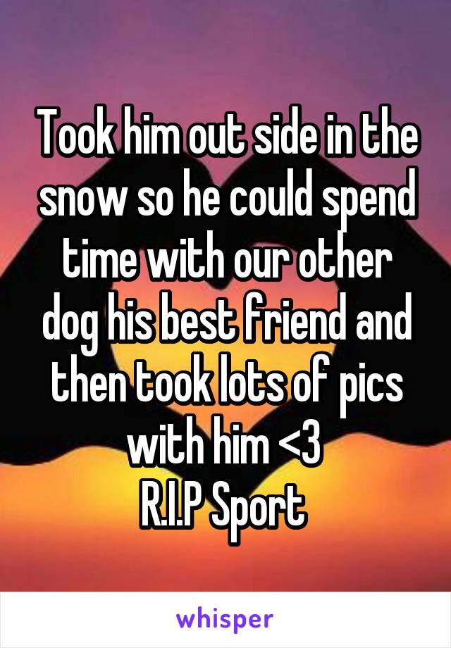 Took him out side in the snow so he could spend time with our other dog his best friend and then took lots of pics with him <\3 
R.I.P Sport 