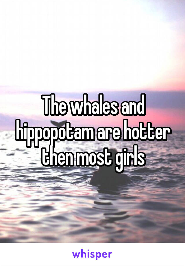 The whales and hippopotam are hotter then most girls