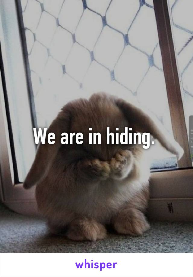 We are in hiding. 