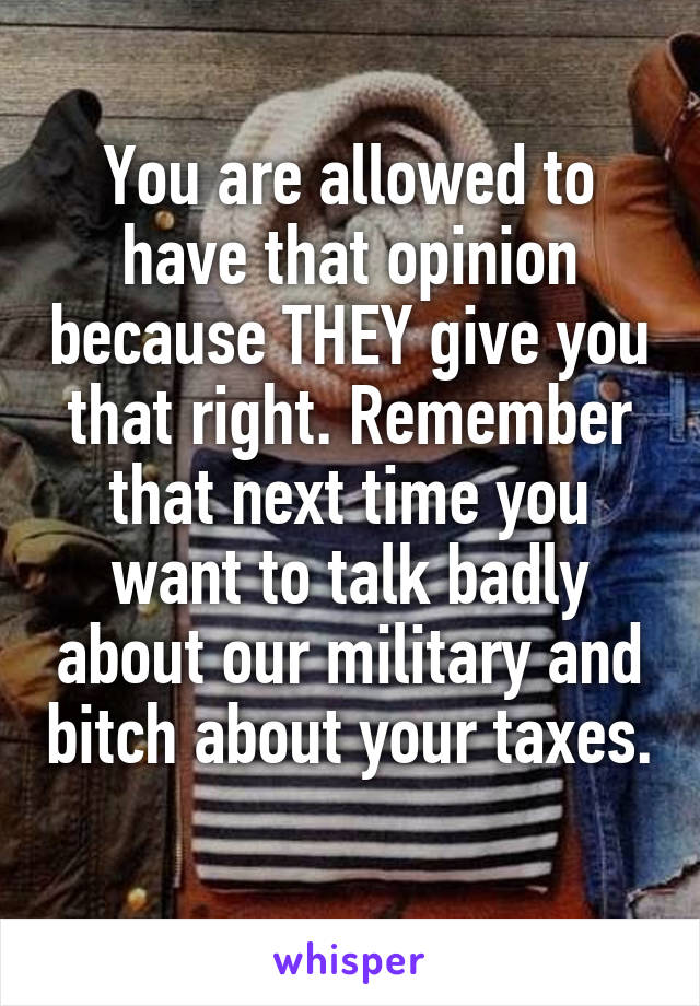 You are allowed to have that opinion because THEY give you that right. Remember that next time you want to talk badly about our military and bitch about your taxes. 