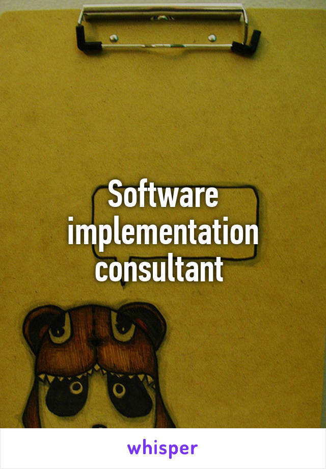 Software implementation consultant 