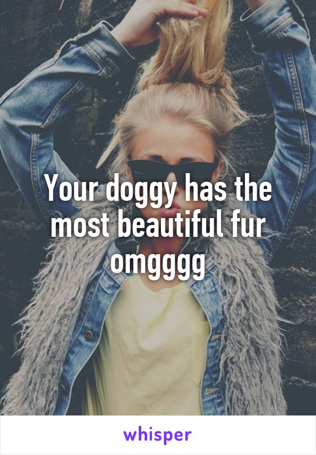 Your doggy has the most beautiful fur omgggg