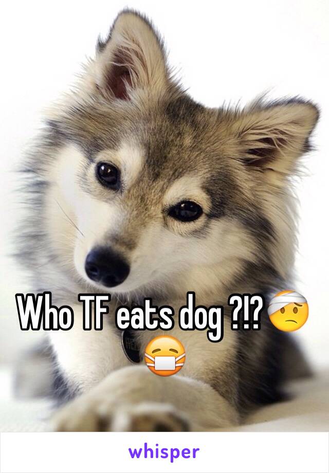 Who TF eats dog ?!?🤕😷