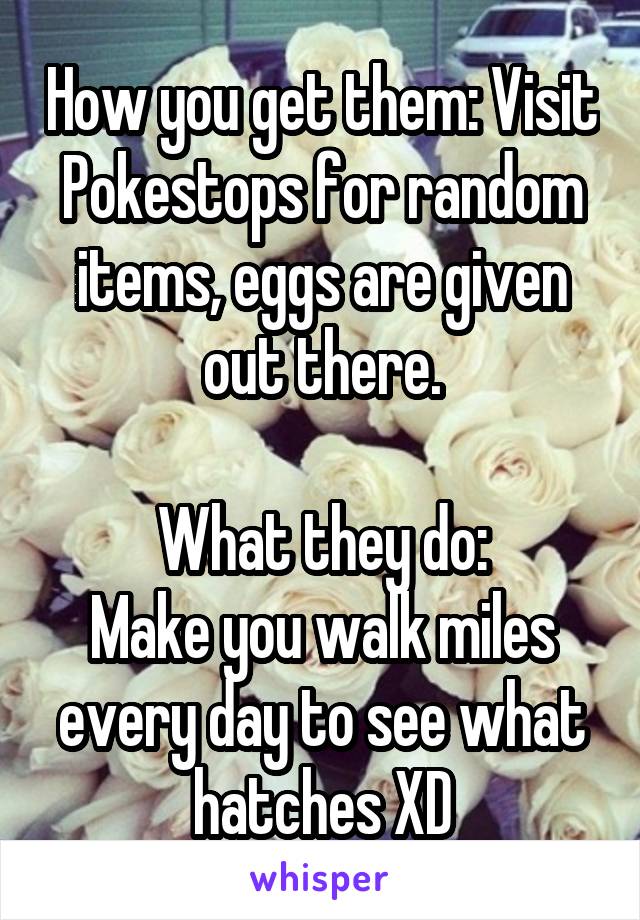 How you get them: Visit Pokestops for random items, eggs are given out there.

What they do:
Make you walk miles every day to see what hatches XD