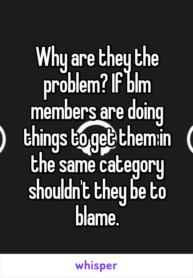 Why are they the problem? If blm members are doing things to get them in the same category shouldn't they be to blame.