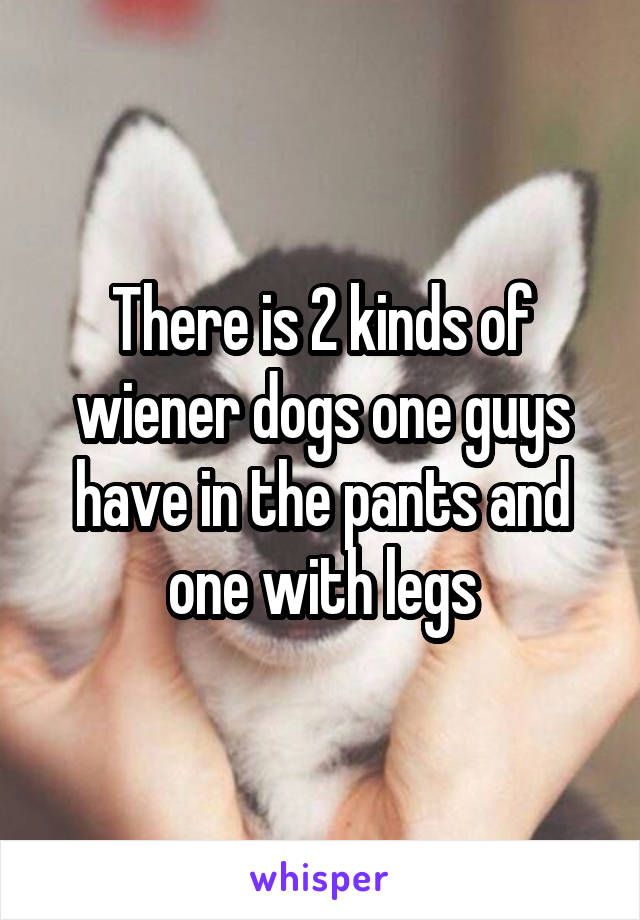 There is 2 kinds of wiener dogs one guys have in the pants and one with legs