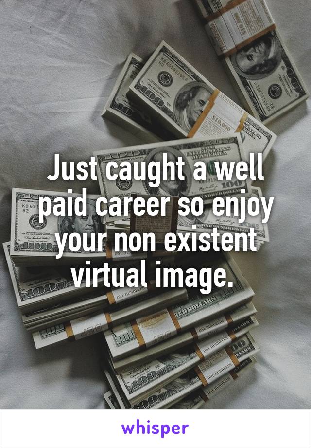 Just caught a well paid career so enjoy your non existent virtual image. 