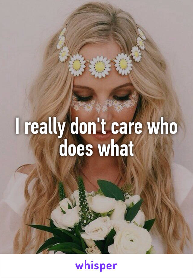 I really don't care who does what
