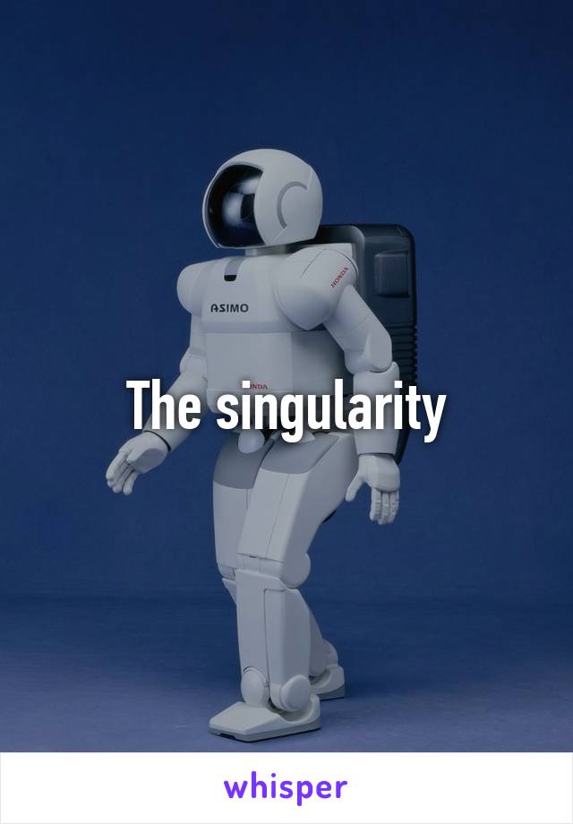 The singularity