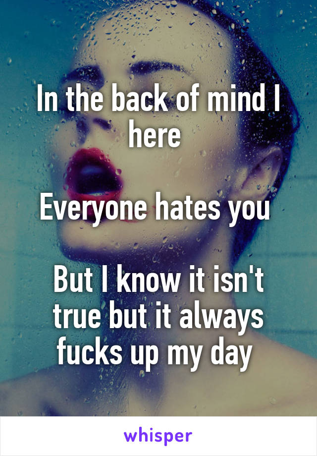 In the back of mind I here 

Everyone hates you 

But I know it isn't true but it always fucks up my day 