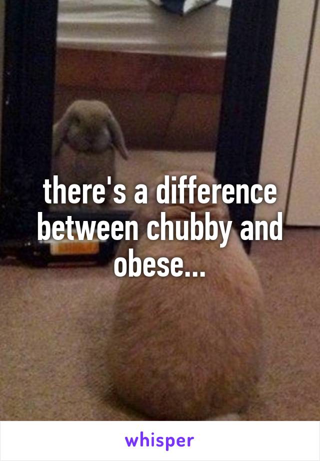 there's a difference between chubby and obese...