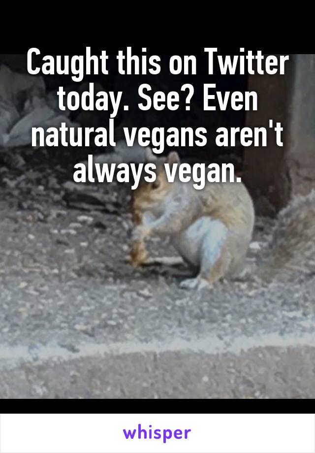 Caught this on Twitter today. See? Even natural vegans aren't always vegan.





