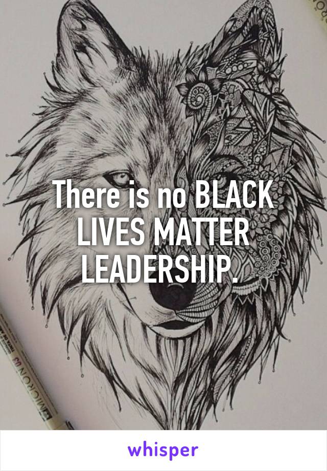There is no BLACK LIVES MATTER LEADERSHIP. 
