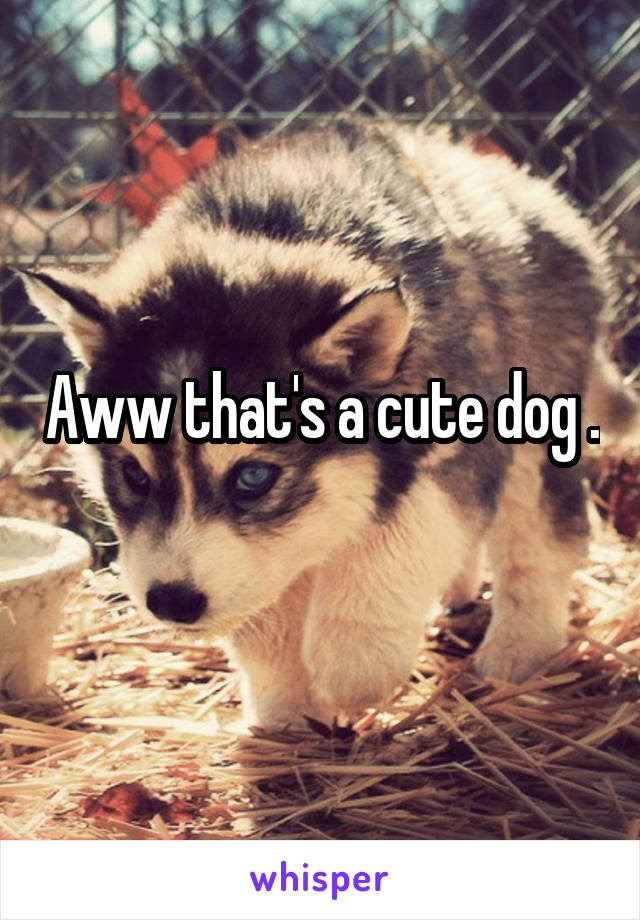 Aww that's a cute dog .
