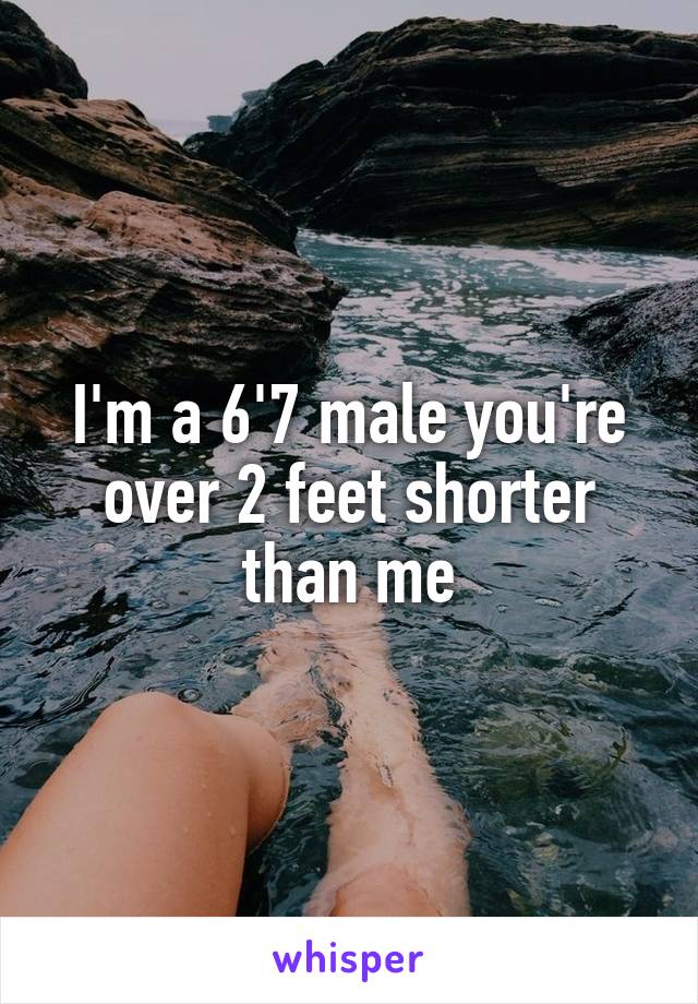 I'm a 6'7 male you're over 2 feet shorter than me