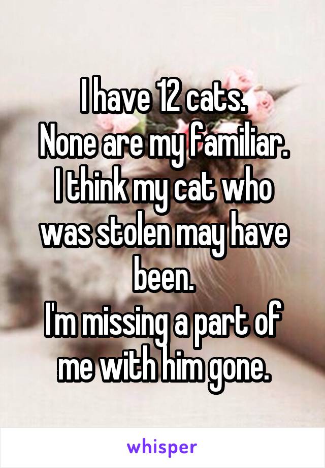 I have 12 cats.
None are my familiar.
I think my cat who was stolen may have been.
I'm missing a part of me with him gone.