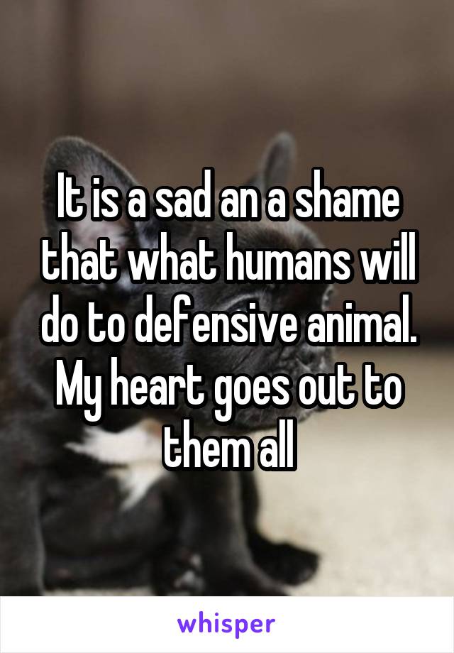 It is a sad an a shame that what humans will do to defensive animal. My heart goes out to them all