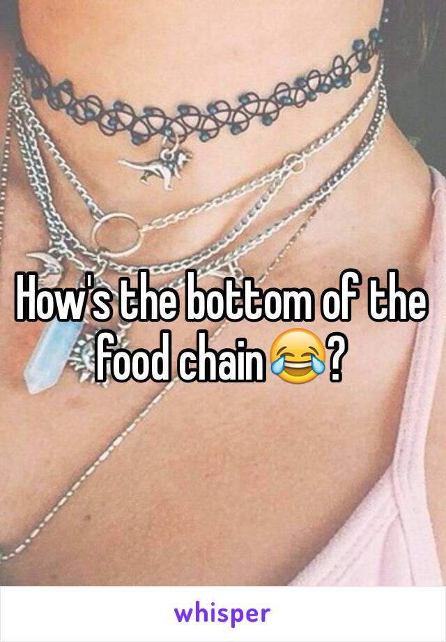 How's the bottom of the food chain😂?