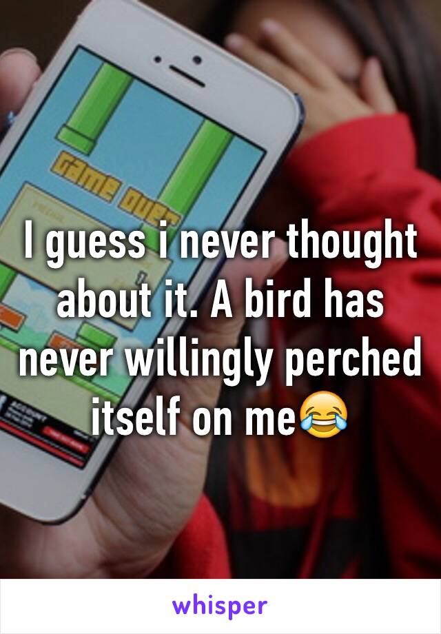 I guess i never thought about it. A bird has never willingly perched itself on me😂