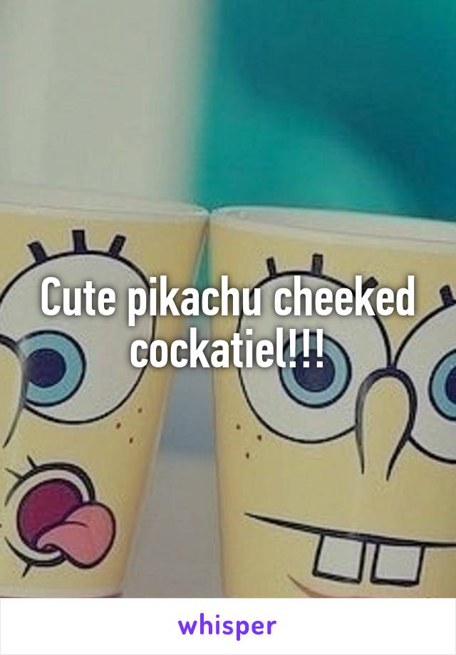 Cute pikachu cheeked cockatiel!!!
