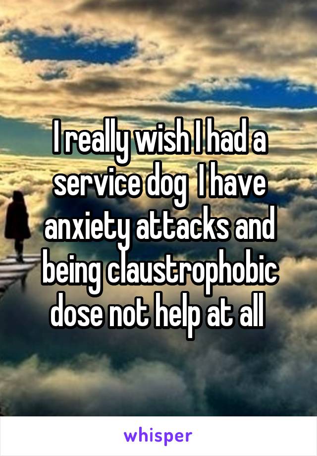 I really wish I had a service dog  I have anxiety attacks and being claustrophobic
dose not help at all 