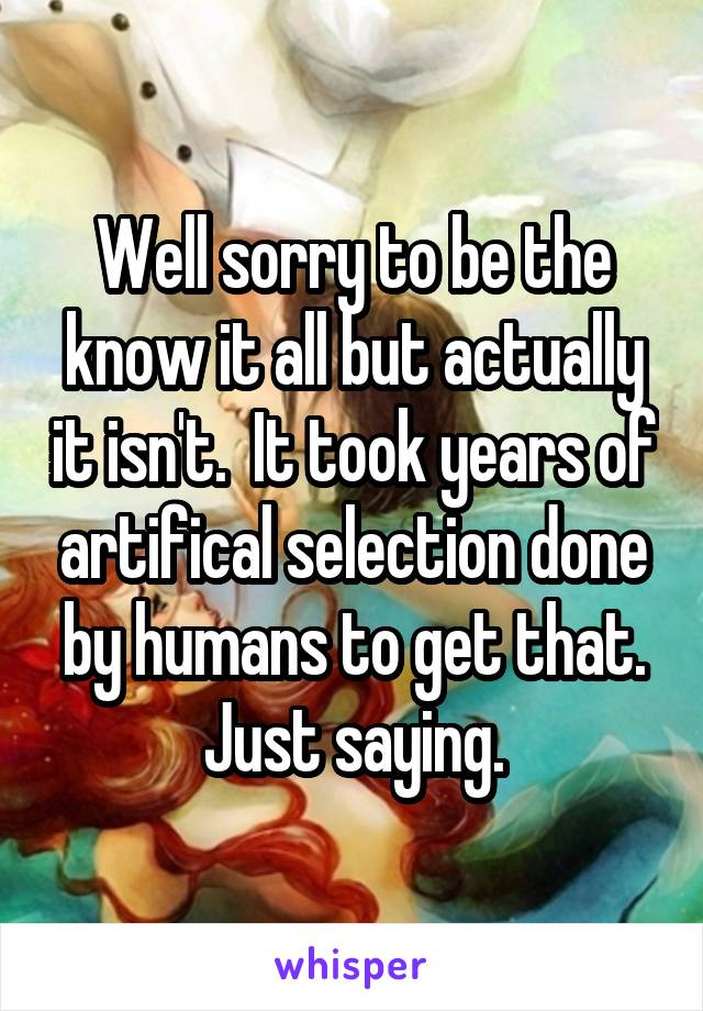 Well sorry to be the know it all but actually it isn't.  It took years of artifical selection done by humans to get that. Just saying.