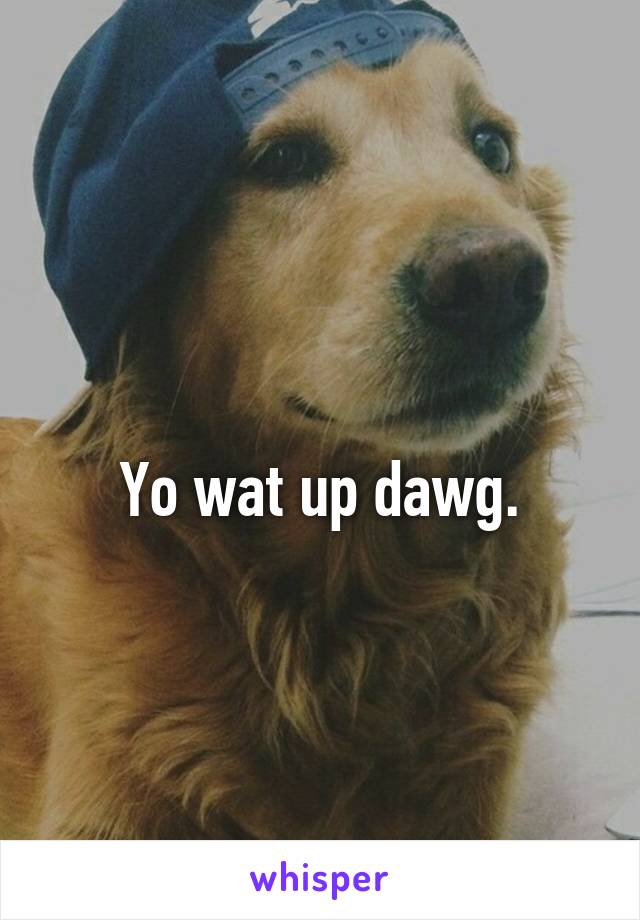 
Yo wat up dawg.