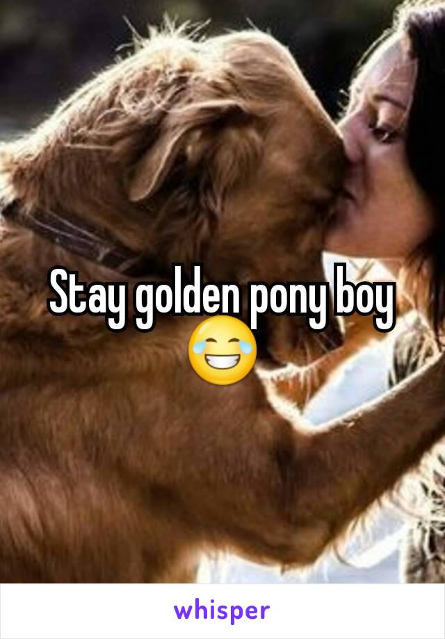 Stay golden pony boy 😂