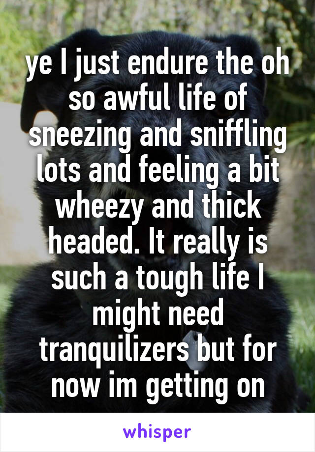 ye I just endure the oh so awful life of sneezing and sniffling lots and feeling a bit wheezy and thick headed. It really is such a tough life I might need tranquilizers but for now im getting on
