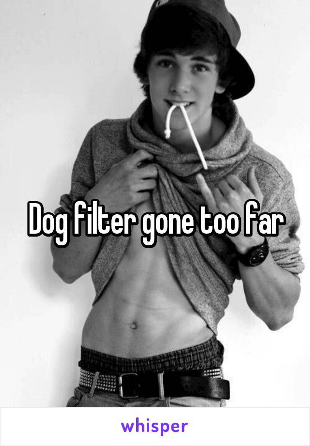 Dog filter gone too far